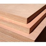 INTEZIA 19mm BWR Plywood – 16 Ply, India’s First Calibrated Sheet